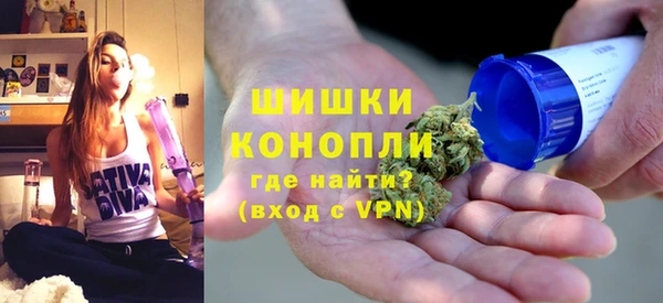 хмурый Инта