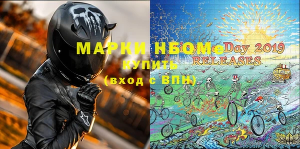 хмурый Инта