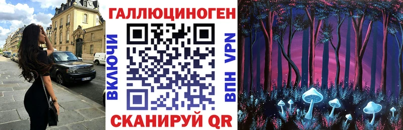 Псилоцибиновые грибы мицелий  Купить закладки  Гулькевичи 