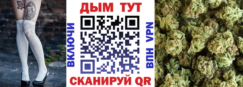 Купить где  Гулькевичи  Конопля VHQ 